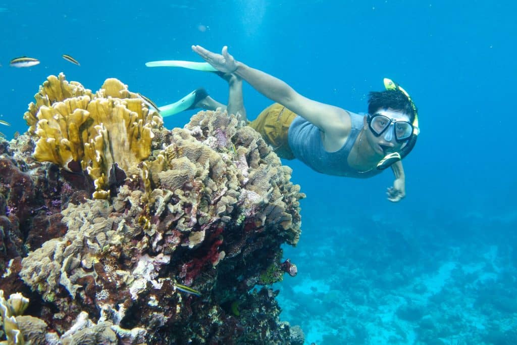 A guest snorkeling close to a cluster of corals during the South Water Reef Snorkeling at The Rainforest Lodge at Sleeping Giant Resort