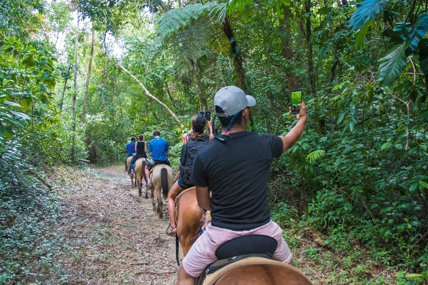 A group of guest horseback riding on the Horseback Riding (Mayan Sky) Tour at The Rainforest Lodge at Sleeping Giant