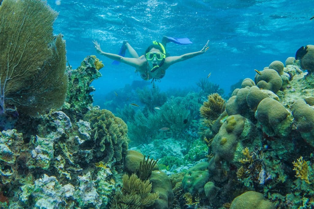 A guest snorkeling in-between a system of corals at the Belize Barrier Reef