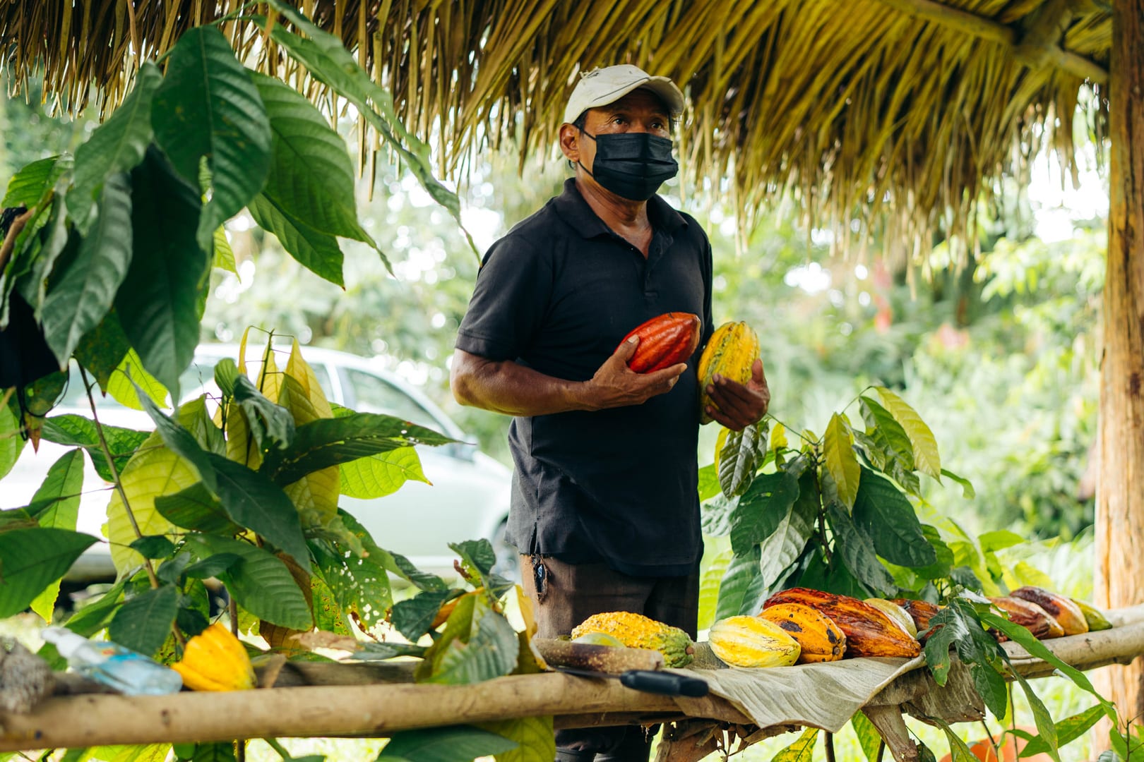 A man holing two cocoa pods during the Maya Chocolate Farm & Jaguar Preserve River Tubing Tour at The Lodge at Jaguar Reef