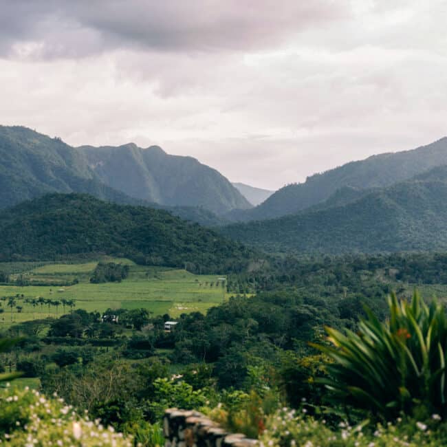 View from The Cliff at The Rainforest Lodge at Sleeping Giant overlooking the Sibun River Valley and lush jungle